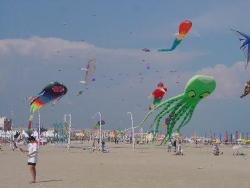 Lenkdrachenwettbewerb am Strand von Narbonne-Plage